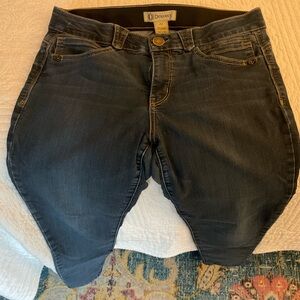 Democracy Ab technology size 12